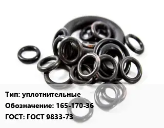 Кольцо РТИ уплотнительные 165-170-36 ГОСТ: ГОСТ 9833-73